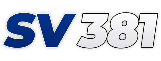 vnsv381.com Logo